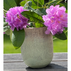 LaVida trlook potte mint