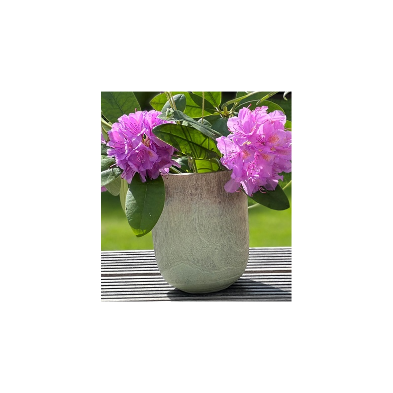 LaVida trlook potte mint