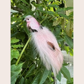 Fugl p clips med perle lyserd