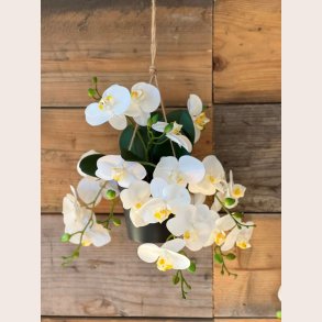 LaVida Kunstig hngende orkid, 8 stilke