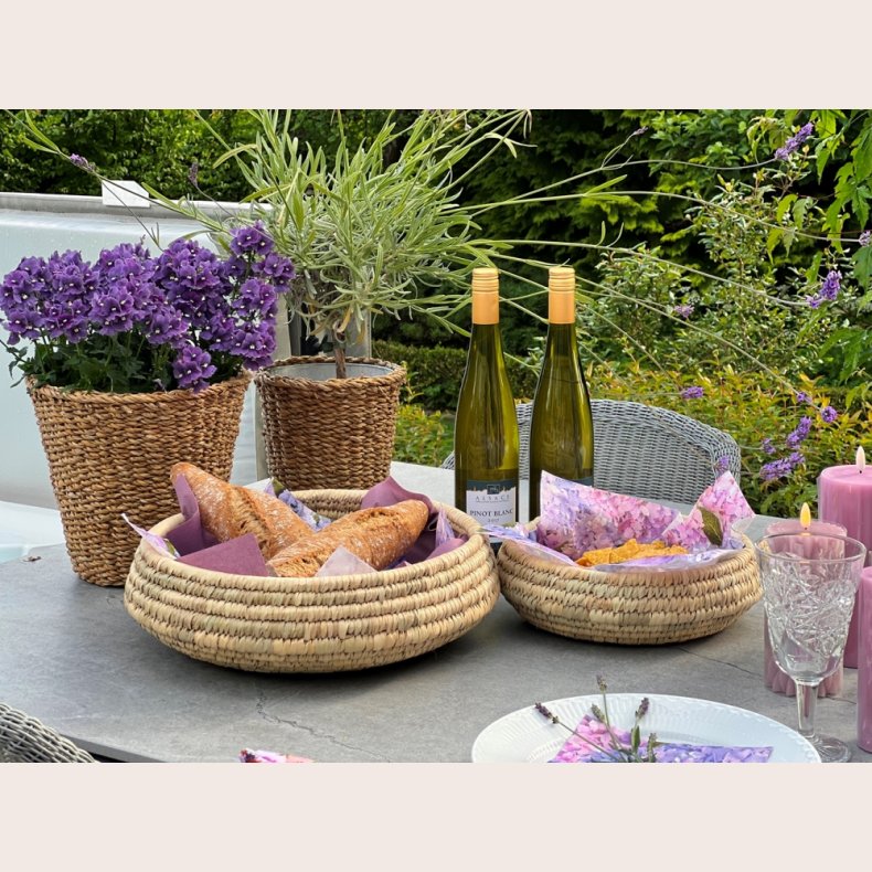 LaVida Kurve, st  2, runde