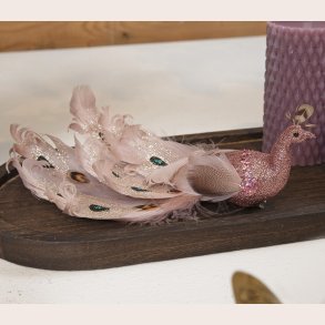 PFugl p clips lyserd