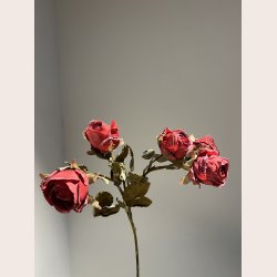 La Vida Kunstig blomst 3 grene, 5 blomster R�d