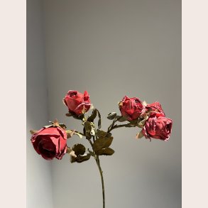 La Vida Kunstig blomst 3 grene, 5 blomster Rd