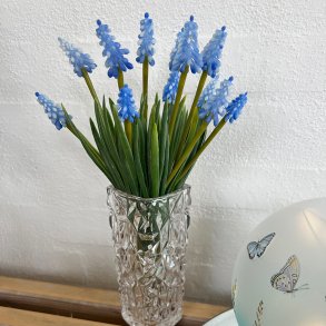 Buket perlehyacinter bl
