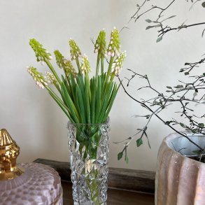 Buket perlehyacinter lyserd