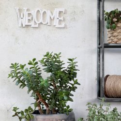 Chic Antique Welcome skilt