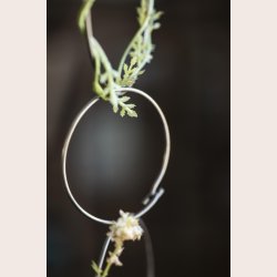 Ringe til ophng 3 strrelser messinglook