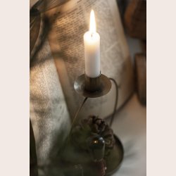 Ib Laursen Stage t/bedelys Sarah