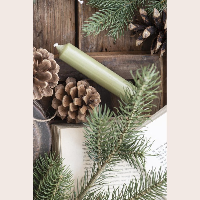 Bedelys rustik mosgrn 