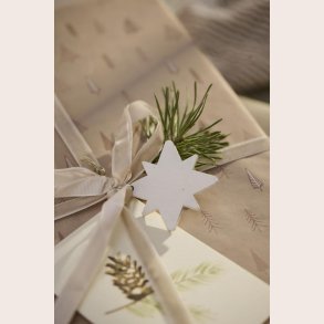 Ib Laursen tr stjerne hvid