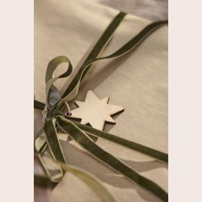 Ib Laursen tr stjerne natur