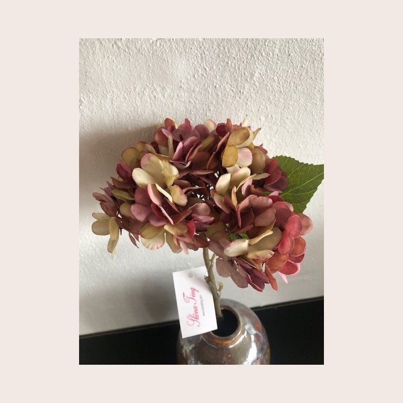 Hortensia lilla