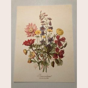 Plakat 205 sommerblomster